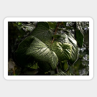 Black Currant Leaves Embossed Sticker